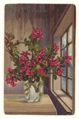 Вид растений. Цветная открытка. Начало ХХ в. П-8 Photochromic Serie 505. №750. Размеры 13,7х8,9 