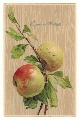 Яблоки. С днем Ангела. Цветная поздравительная открытка. Начало ХХ в. П-9 Размеры 13,9х8,9 см. 