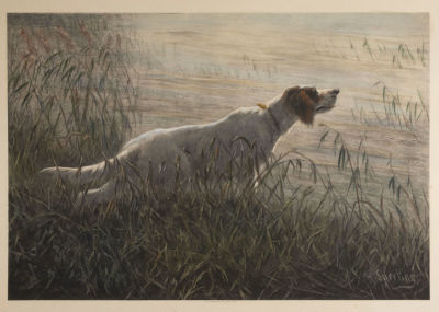 Sperling H. (по оригиналу). Собака на охоте. Гелиогравюра с подкраской акварелью. 1909. Размер 