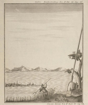 [Из редкого издания] Гмелин С. Г. Сцена охоты (справа двузубец). Т. II. Табл. 40. Стр. 217. 