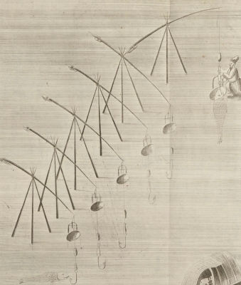 [Из редкого издания] Гмелин С. Г. Рыболовные ловушки. Т. II. Табл. 39. Стр. 301. 1760-1770. 