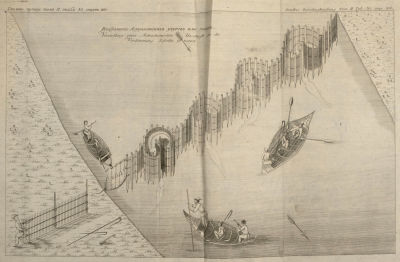 [Из редкого издания] Гмелин С. Г. Изображение Астраханских учугов или забоек. Т. II. Табл. 35. 