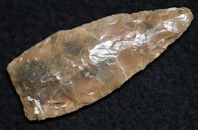 2 3/16" River Stained Angostura Found in McIntosh Co. OK Ryan Keele COA. Condition: Authentic