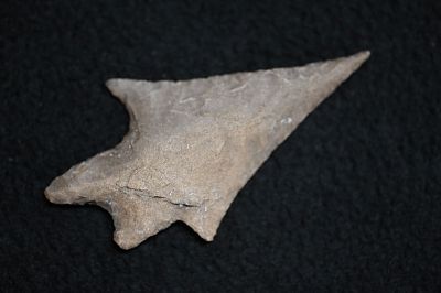 2 7/8" Pedernales Arrowhead Found in Texas. Condition: Authentic