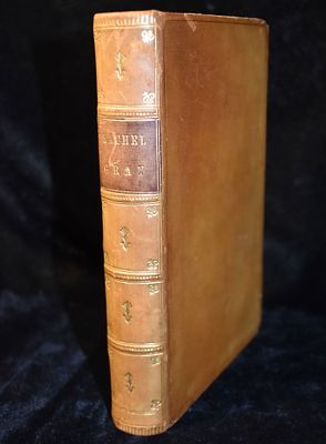 1856 Rachel Gray - A Tale Founded On Fact by Kavanagh Julia. Rachel Gray by Kavanagh Julia. 