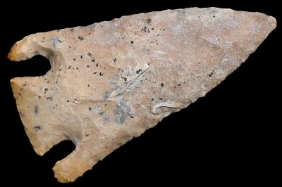 3 7/8" Smith Arrowhead Found in Pettis Co. Missouri Roy Motley COA Ex: George Wolf, Larry 