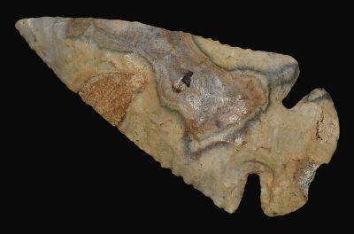 Very Colorful 3 7/16" Fulton County Blue Dovetail w/ restoration. Very Colorful 3 7/16" Fulton 