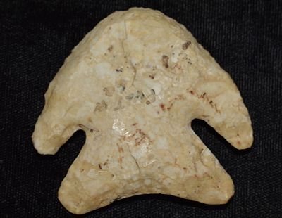 2" Finely Made Thebes Blunt found in Fulton County, Illinois by Dean Downing. Measures 1 3/4" 