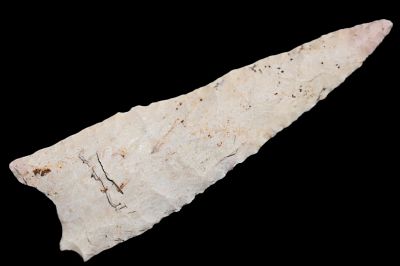 3 9/16" Dalton Found in Lincoln Co. Missouri Ex: Donald Koehler Collection. Paper thin and very 