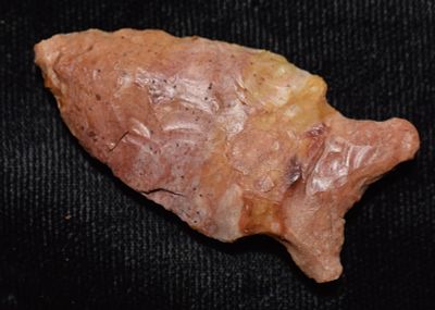 Colorful 1 3/4" Robinson Arrowhead found in Lincoln County, Missouri. Found by Donald Koehler 