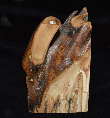Fossilized Mammoth Tooth Paper Weight. Made from a real mammoth tooth. With sides cut and 