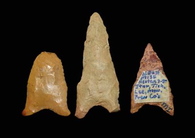 3 Small Daltons found in Arkansas and Mississippi. The center dalton has either damage or 