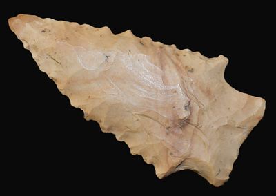 2 1/4" Pinetree Arrowhead found in Itawamba/Tishomingo County, Mississippi. Ex Charles Hester 