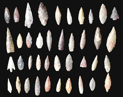 40 Neolithic Arrowheads found in Central West Africa Arrowheads in this group measure 7/8" to 1 