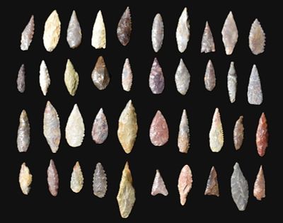 40 Neolithic Arrowheads found in Central West Africa Arrowheads in this group measure 7/8" to 1 