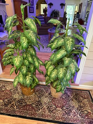 Two Artificial Plants in Baskets. Excellent condition. Each plant stands four feet tall in 