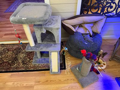 Kitty Cat Lot - Multi Level Tree & More!. Buying all for one money. Overall good, preowned 