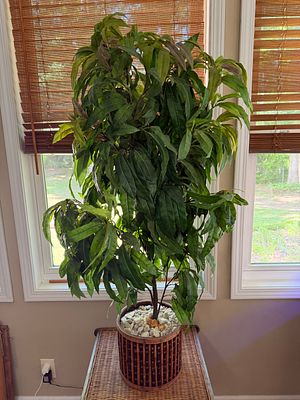 Artificial Tree in Bamboo Basket. Excellent condition. Stands 52 inches.