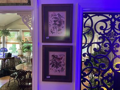 Six Framed Vintage Floral & Bird Prints. Six floral and bird prints beautifully framed to match. 