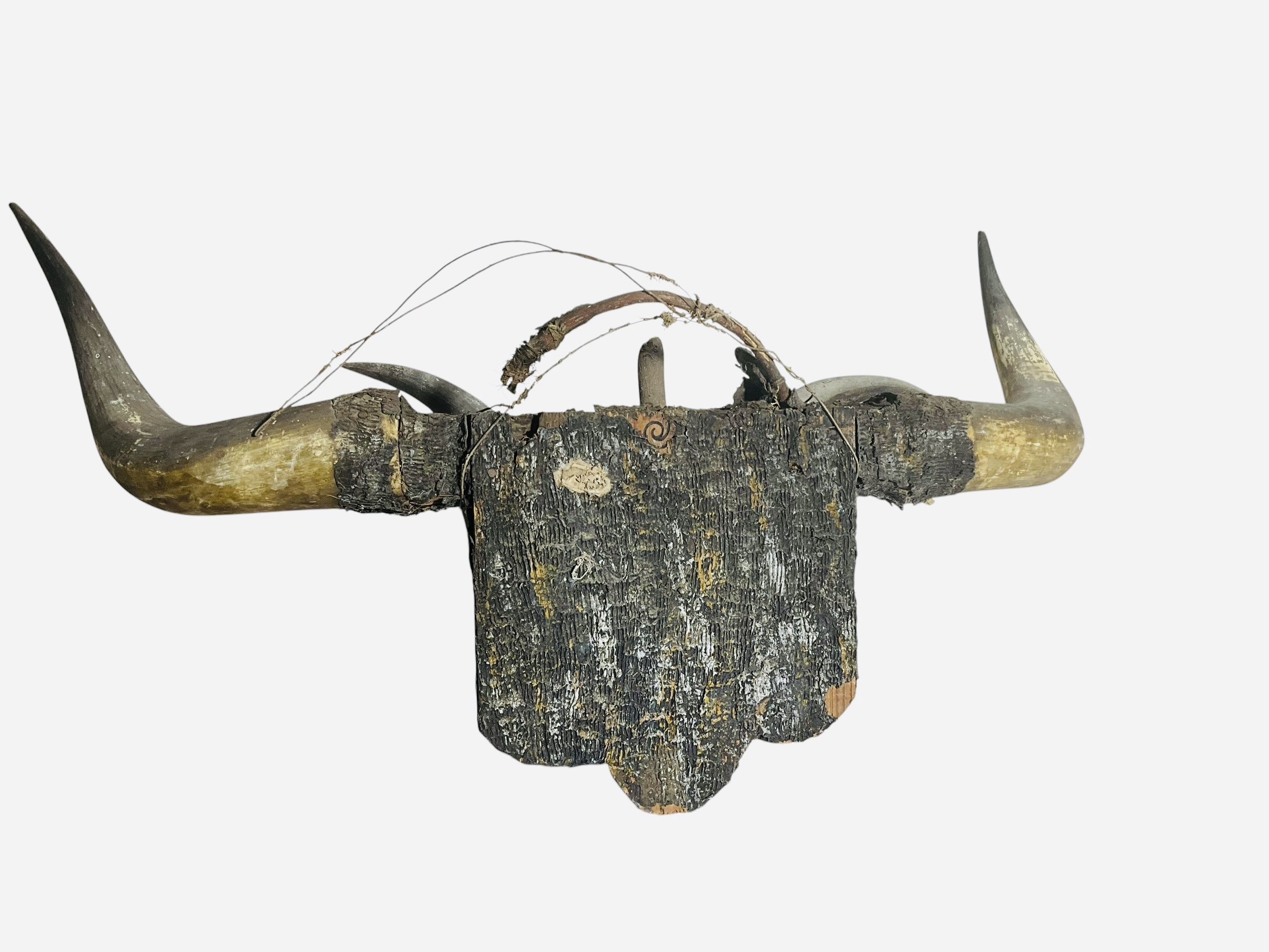 Primitive Bull Horn Wall Mount