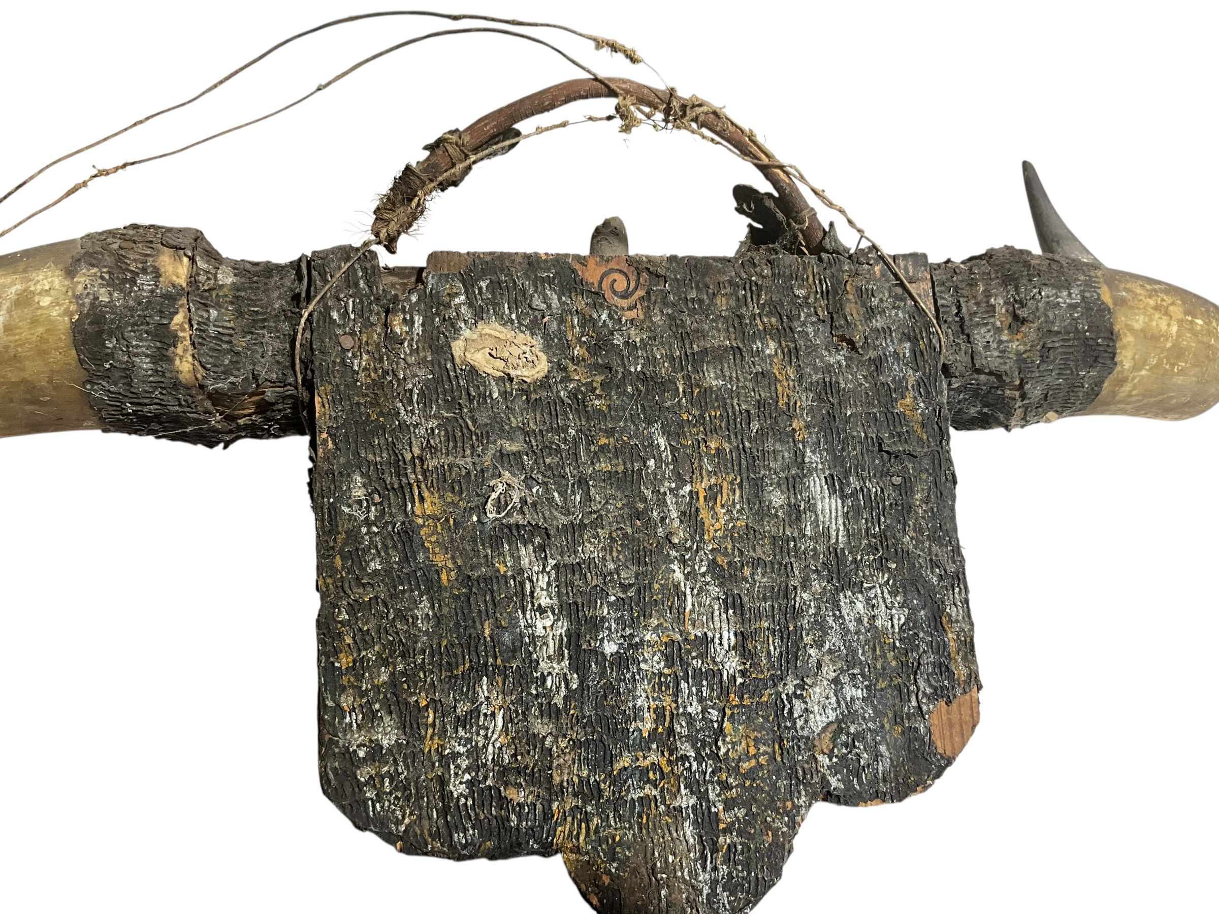 Primitive Bull Horn Wall Mount