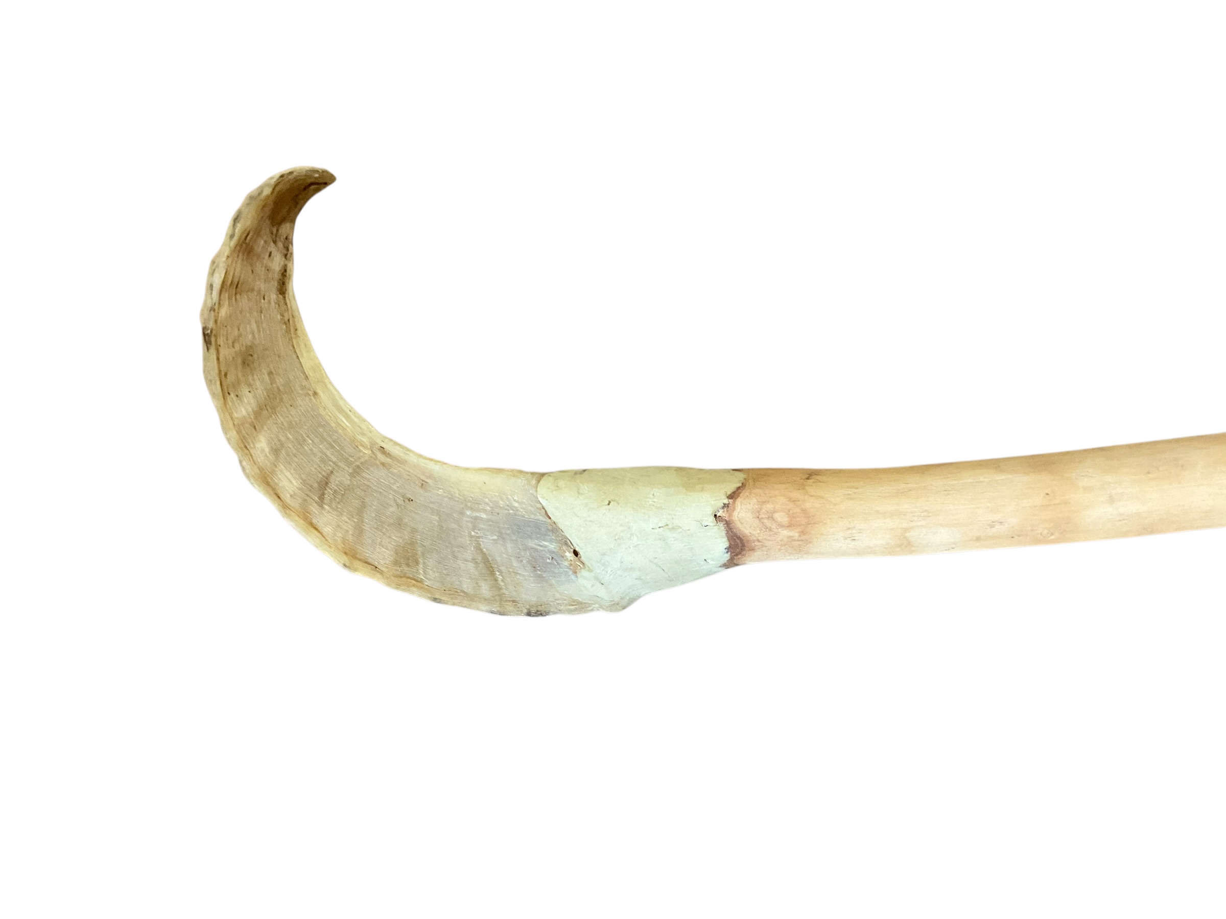 Cattle Horn Carved Walking Stick