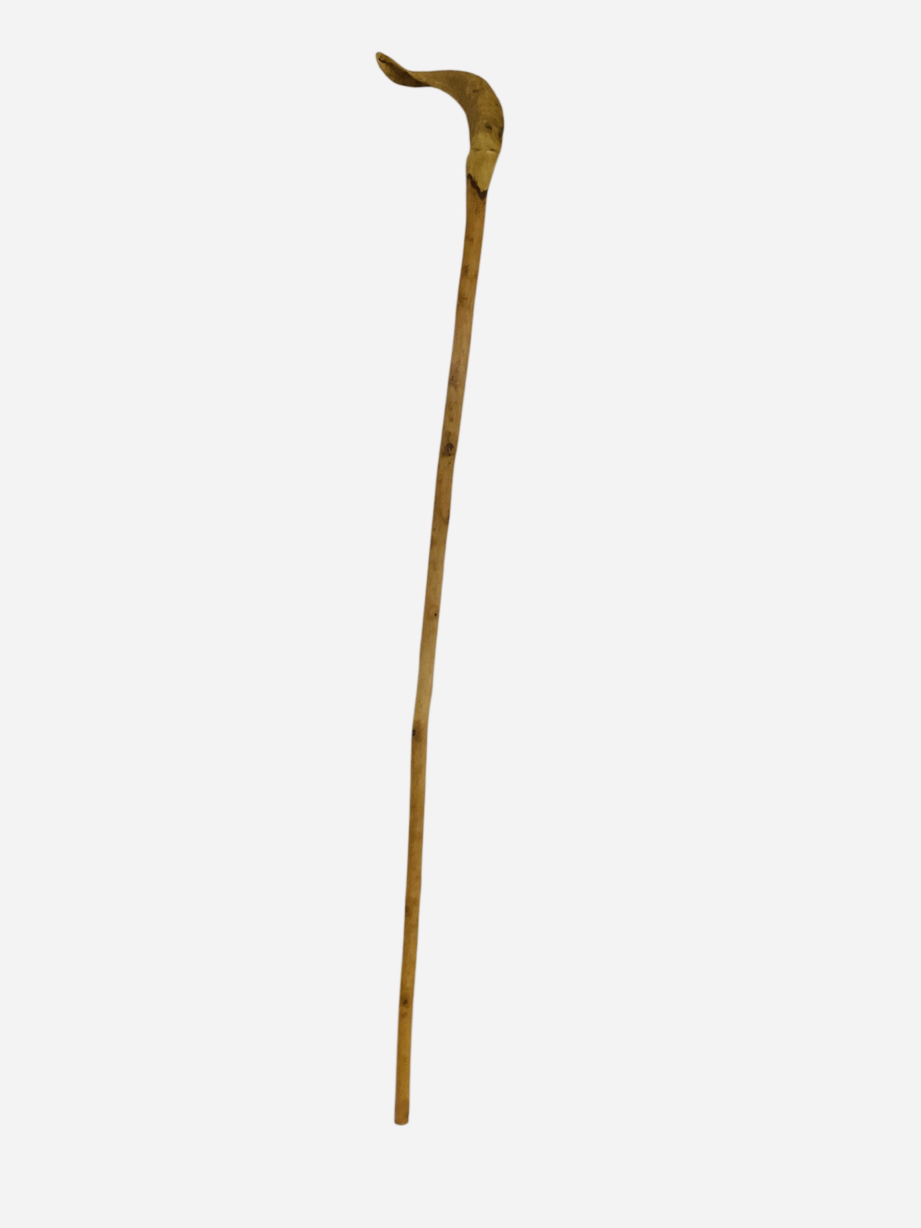 Cattle Horn Carved Walking Stick