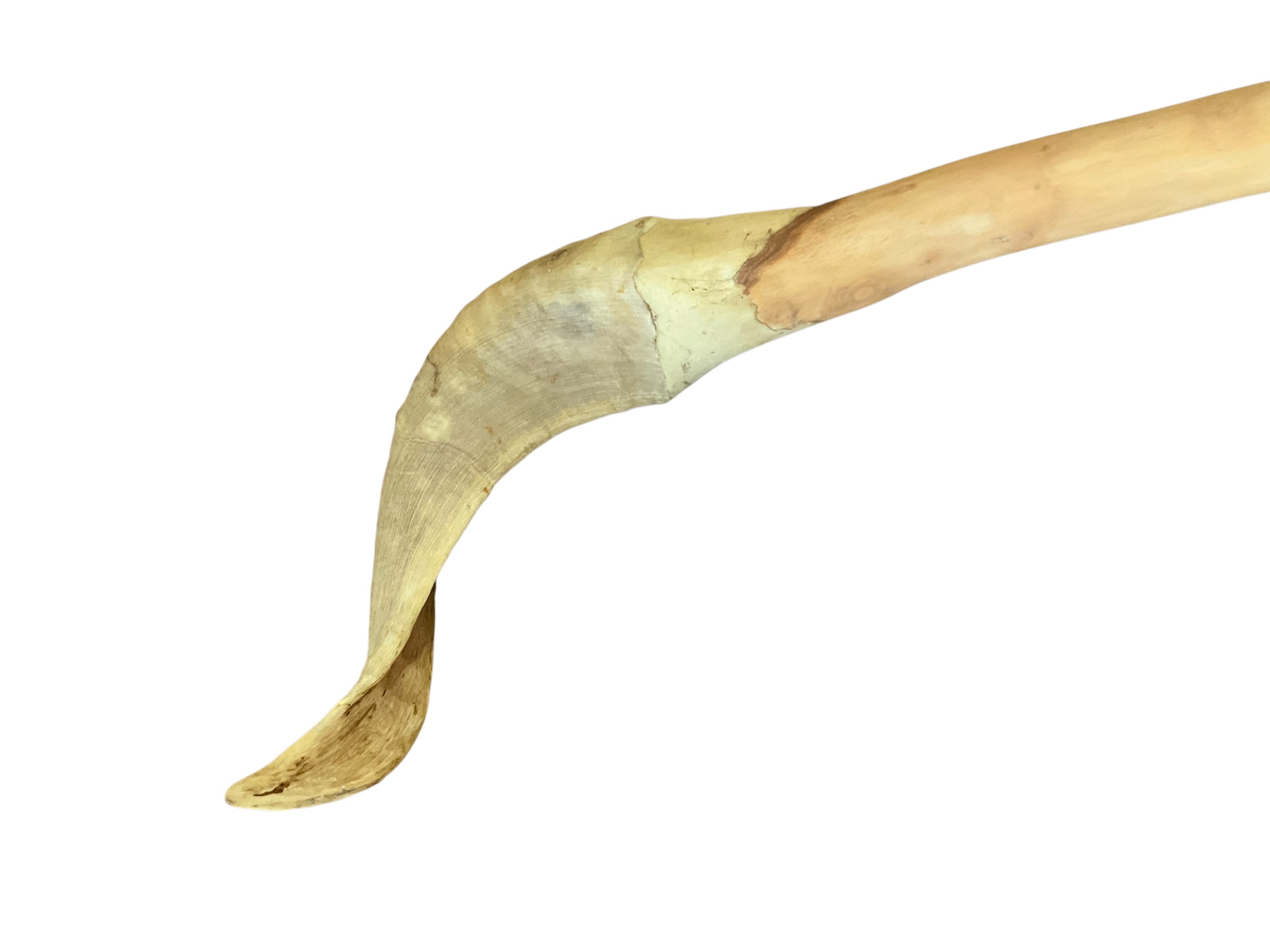 Cattle Horn Carved Walking Stick