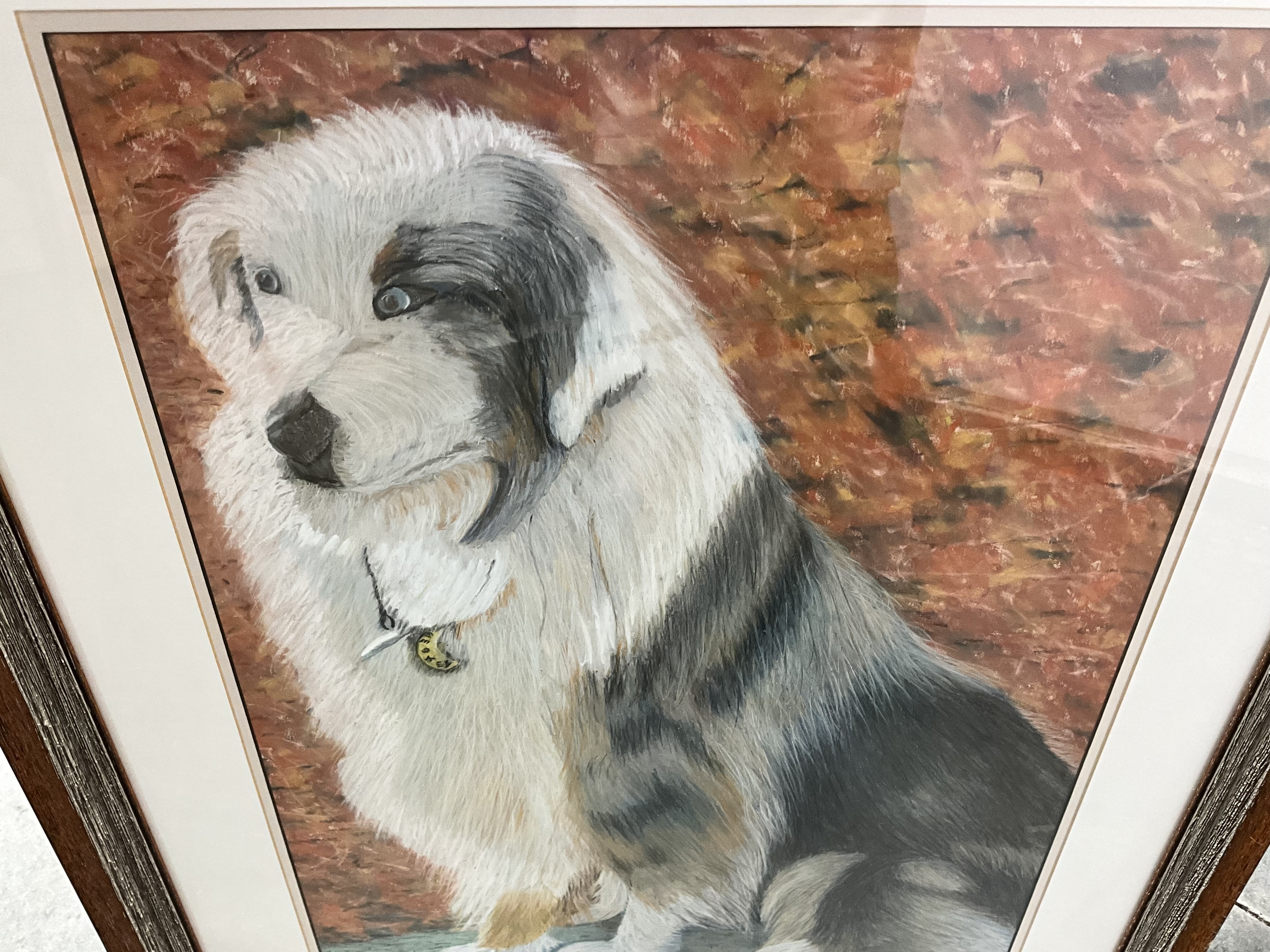 Australian Shepherd Framed Pastel Portrait Artist David B Turner