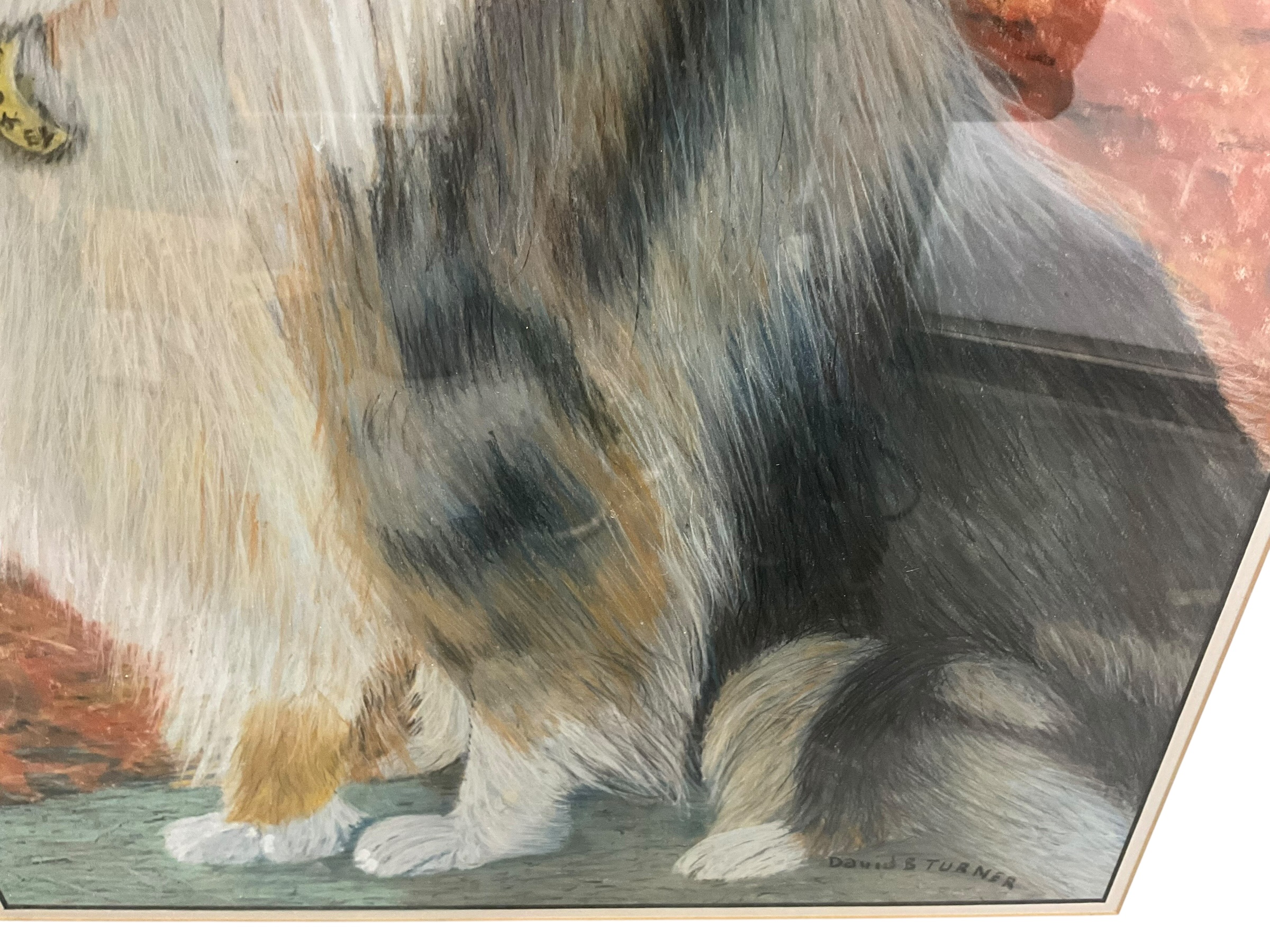 Australian Shepherd Framed Pastel Portrait Artist David B Turner