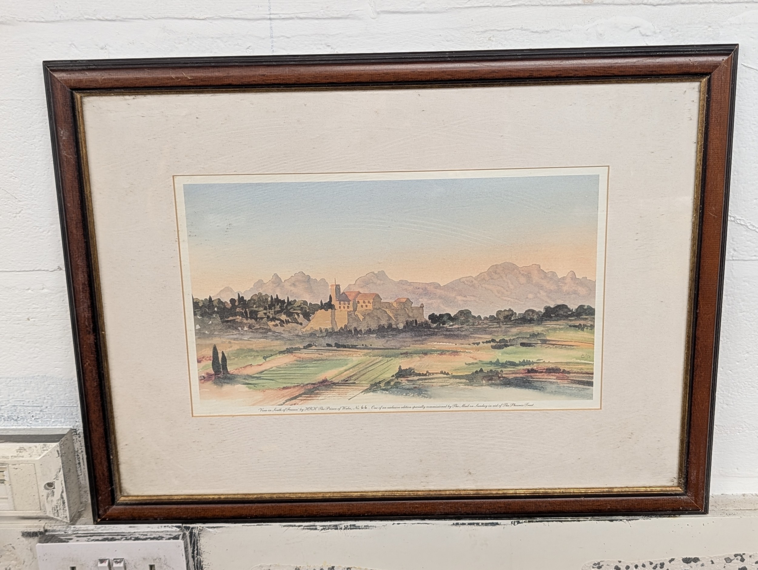 Lot 203