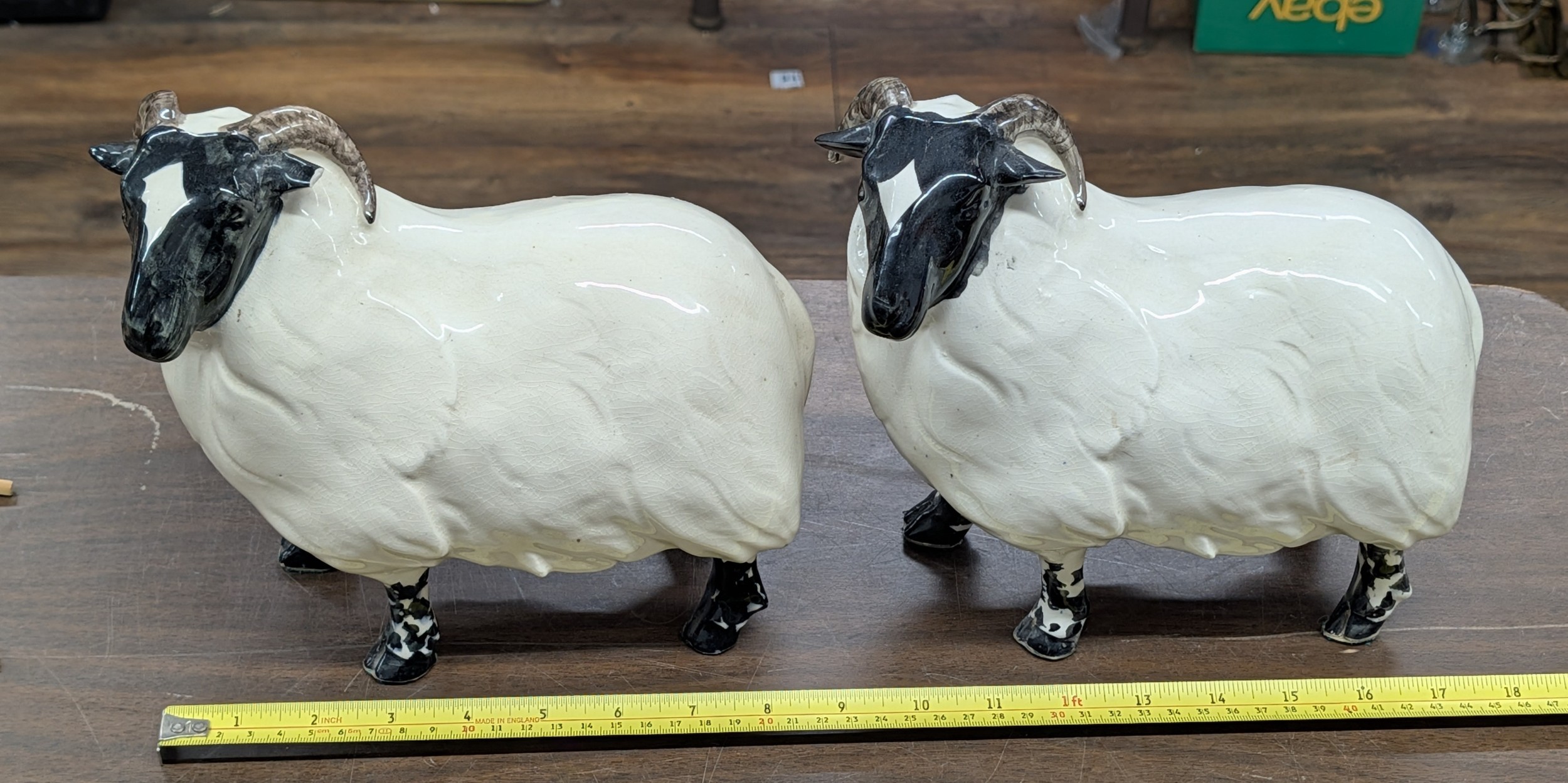 Lot 222