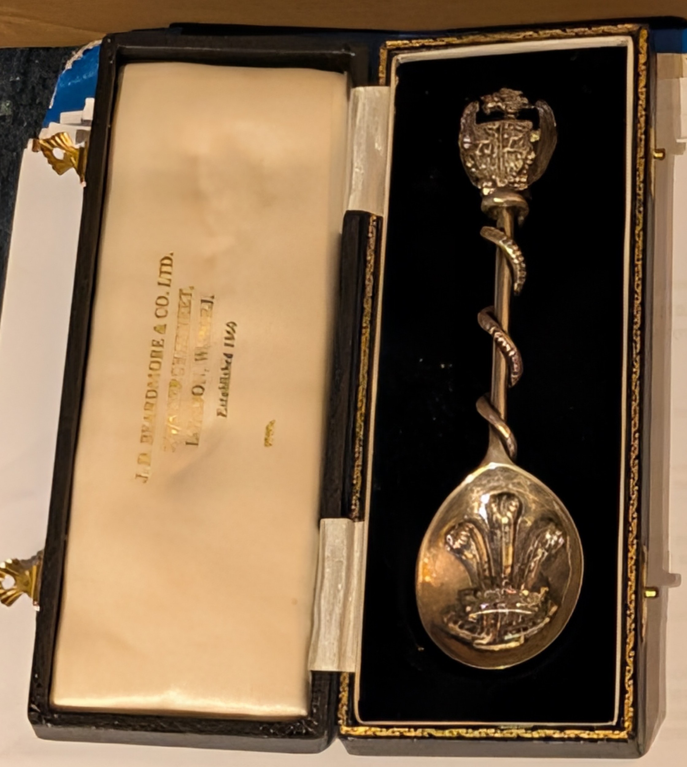 Lot 255