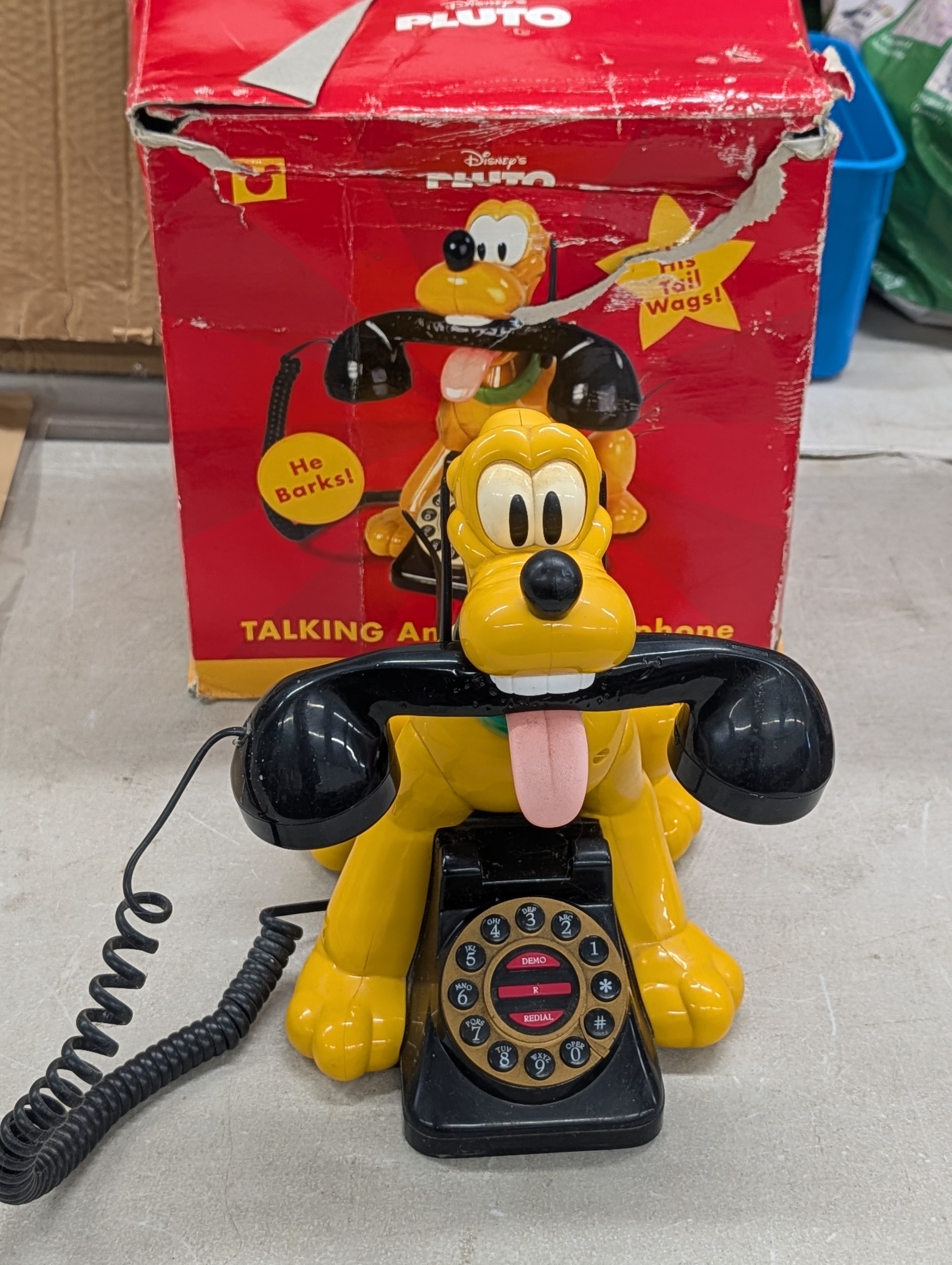 Lot 255