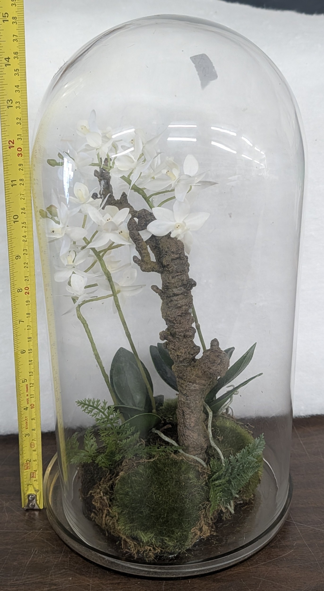 Lot 147