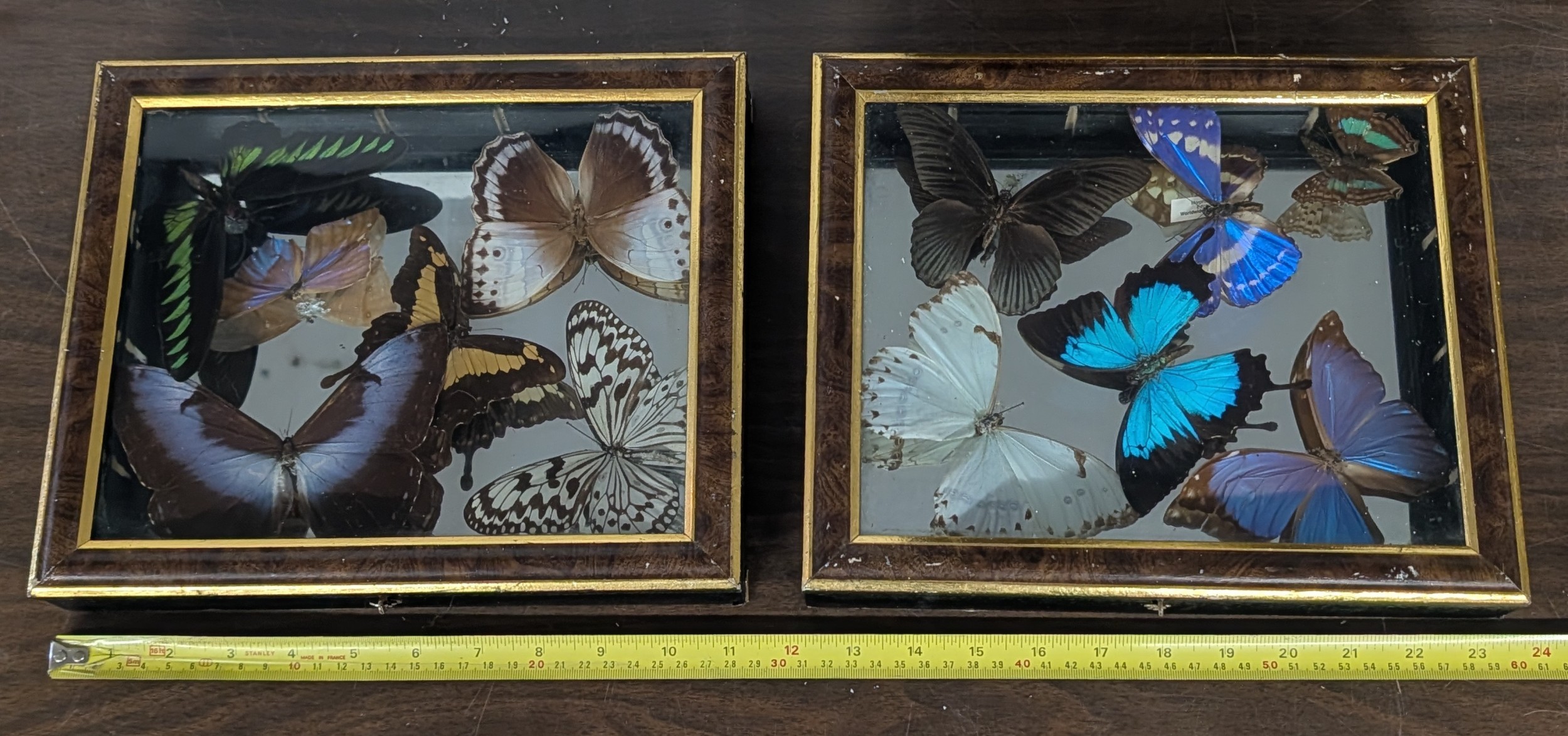 Lot 296
