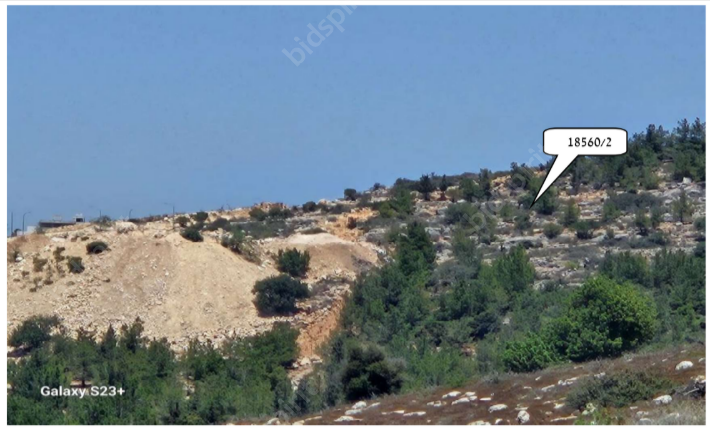 נדב שפירא | משרד עורך-דין, מגשר ונוטריון | התמחרות אינטרנטית - קרקעות חקלאיות טמרה במסגרת תיק חדל"פ