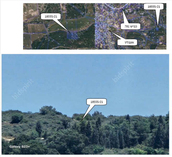 נדב שפירא | משרד עורך-דין, מגשר ונוטריון | התמחרות אינטרנטית - קרקעות חקלאיות טמרה במסגרת תיק חדל"פ