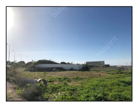 , מניות המקנות זכויות בעלות בנכס מקרקעין, גוש 21664/45164 מגוש 8907, חלקה 18.