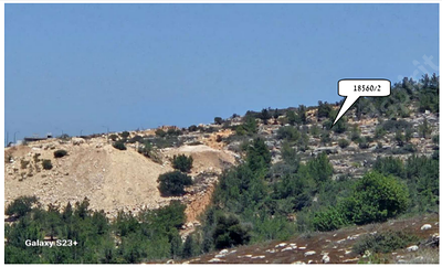 , קרקע יער טבעי לפיתוח - גו"ח 18560/2, תחום שיפוט של העיר טמרה ומצפה אביב, חלקה 2. יער טבעי לפיתוח.