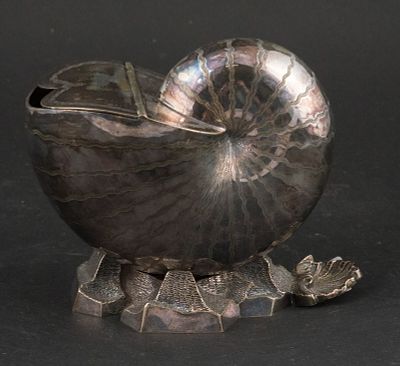 Nautilus Shell Form Spoon Warmer. Nautilus Shell Form Spoon Warmer Unmarked silver plate. 5 1/2 