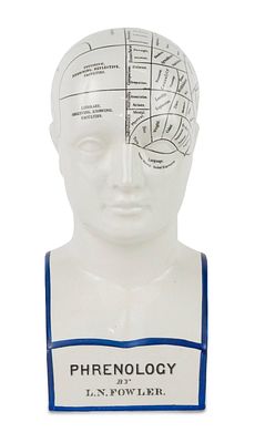 Porcelain Phrenology Bust by L.N. Fowler. Porcelain Phrenology Bust by L.N. Fowler Entered at 