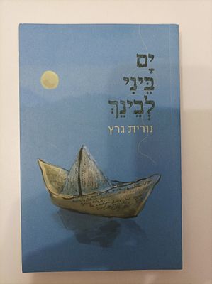 ים ביני לבינך
נורית גרץ
יצא לאור ע"י הוצאת דביר, בשנת 2015, מכיל 288 עמודים, 
. תקציר הספר 