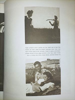 משה דיין : דיוקן
פנחס יורמן
יצא לאור ע"י הוצאת מסדה, בשנת 1968, מכיל 134 עמודים,