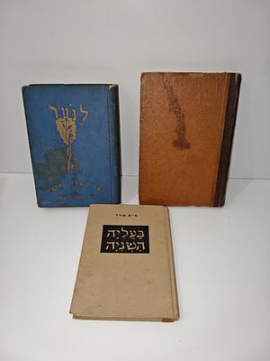 לוט 3 ספרים
- נס-ציונה : (מספורי הישוב) / מאת ש. בן ציון תרפ''ט
- לנער : ספרית ארץ ישראל של 