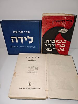 לוט של 3 ספרים
- בעקבות בריידי מרפי : פרשת נסוי היפנוטי / מוריי ברנשטיין
- לידה- כשהרוח והחומר 