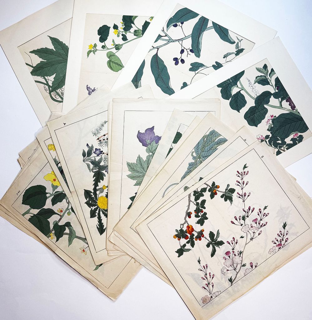 Старый альбом | Аукцион 353 | Вашему вниманию представлены: Книги по искусству, Ноты, Документы ВОВ, Тибетский ксилограф, Монголия, Китай и другое.