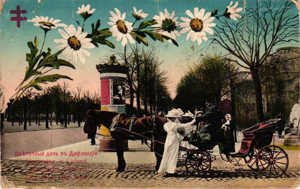 Old Album | Auction 431