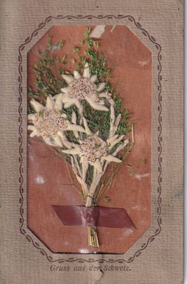 Открытое письмо "Цюрих". Цюрих: изд. W. Pleyer, 1911г., 9 х 14 см