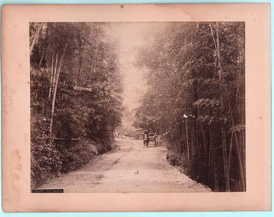 Двухсторонний лист (2 фотографии): "Дорога на Могл" и "Парк Вишневый цветок Огува". Наклеены на 